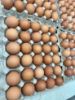 Picture of Golden Valley Brown Eggs (Small) Pack of 30